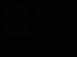 18090803.jpg