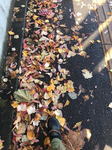 18102901.jpg