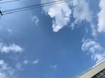 19093001.jpg