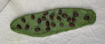 20022516.jpg