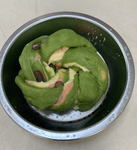 20022522.jpg
