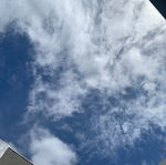 20063002.jpg